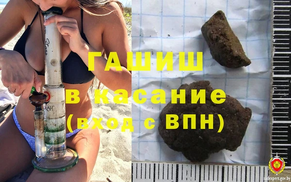 крисы Сатка