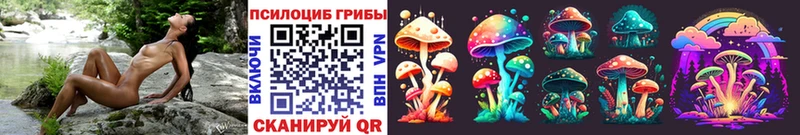 Псилоцибиновые грибы мицелий Рязань