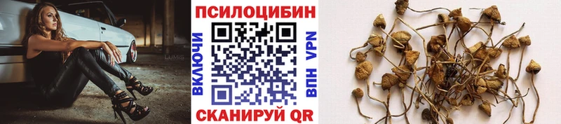 Псилоцибиновые грибы Psilocybine cubensis Купить где Рязань